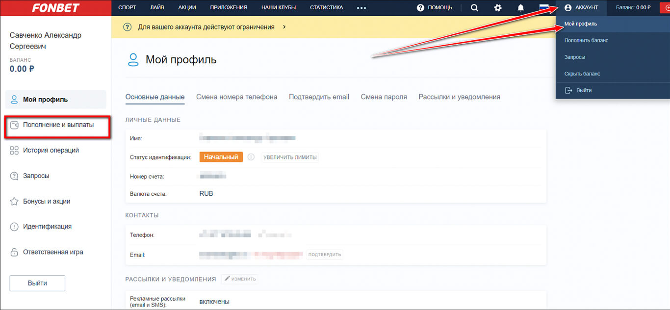Вывод денежных средств
