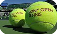 Теннисный турнир Sony Open Tennis 2015: расписание, коэффициенты